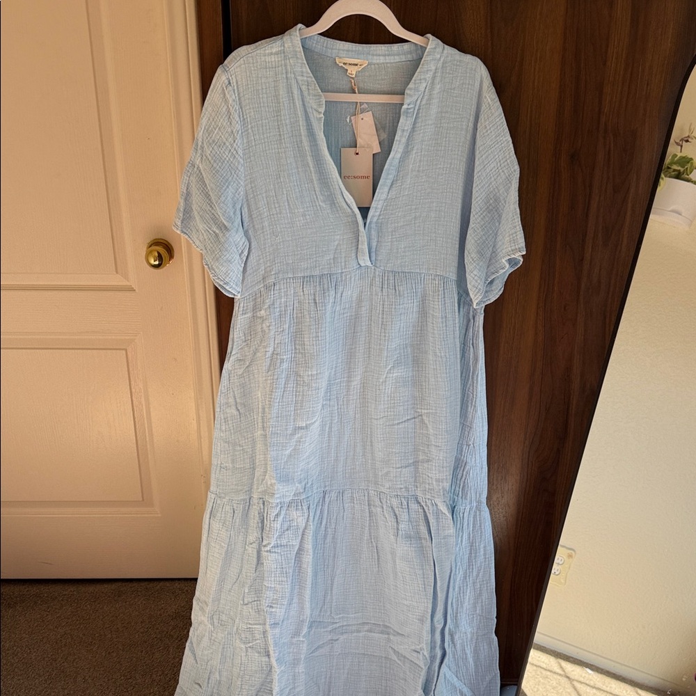 Eesome Light Blue Maxi Dress